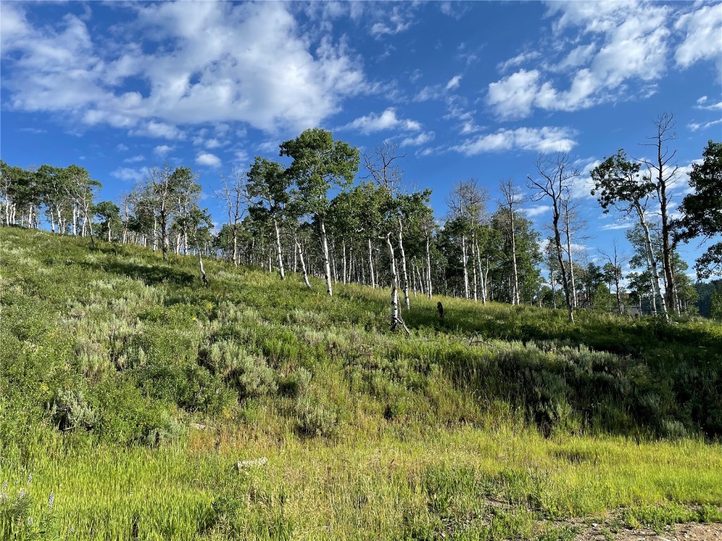 27200 Frisco Place Clark, CO 80428 - Photo 6 of 10 a view of a garden