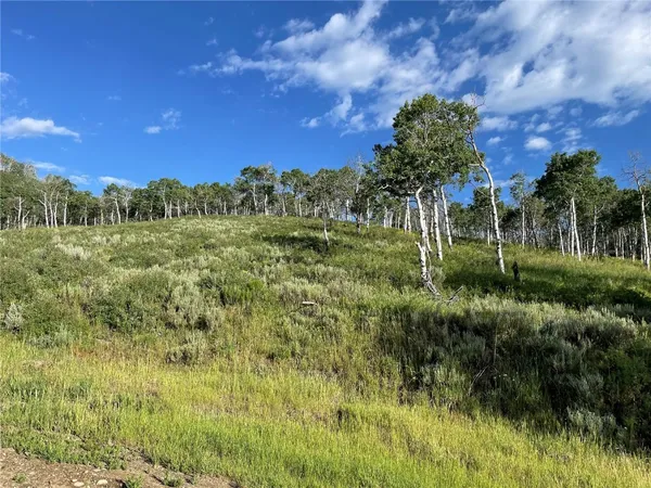 a view of a lush green outdoor space with a house in the background