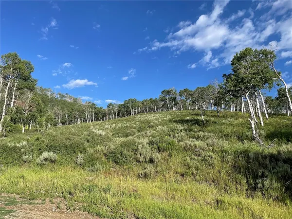 a view of a lush green space