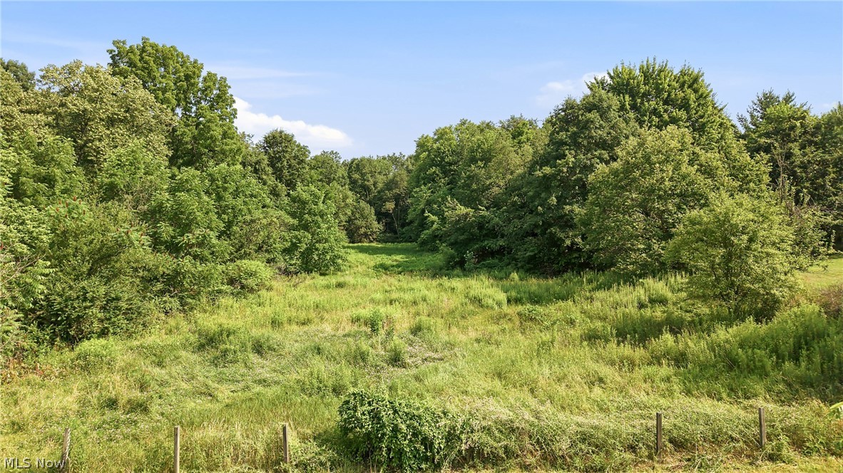 6585 Chestnut-Ridge Road Hubbard, OH 44425 - Photo 11 of 19