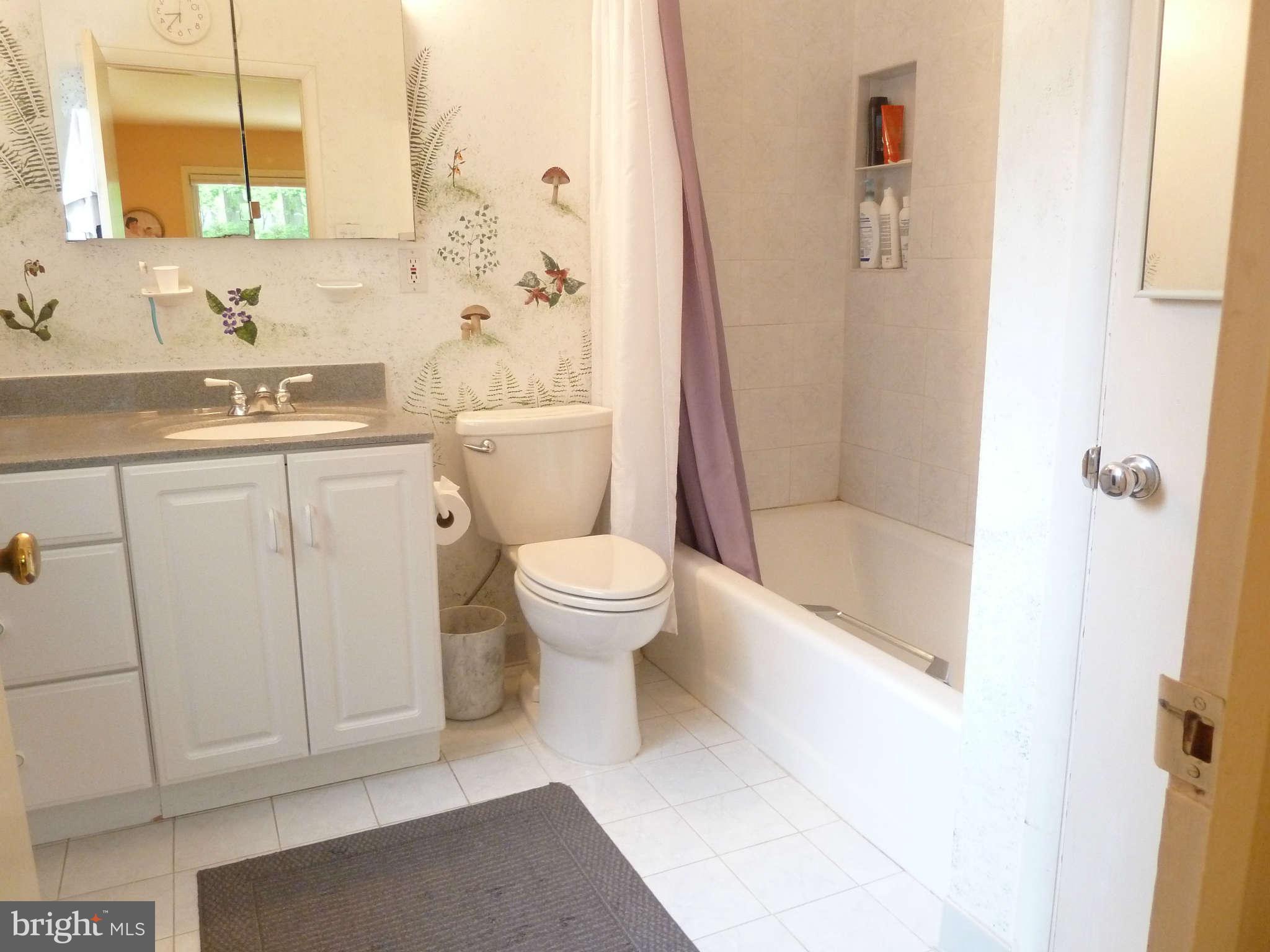 6608 Millwood Road Bethesda, MD 20817 - Photo 20 of 30 Bath (Master)