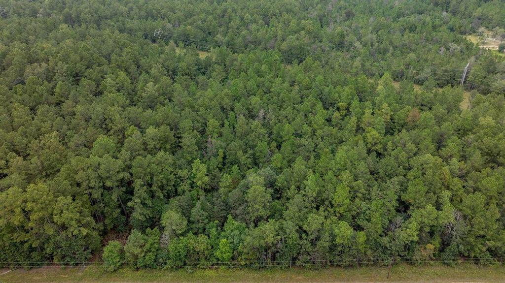 Ben Elston Road Deridder, LA 70634 - Photo 2 of 4 Gallery Image 2