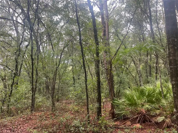 $10,800 | Tbd Delaware Avenue, Interlachen, FL 32148