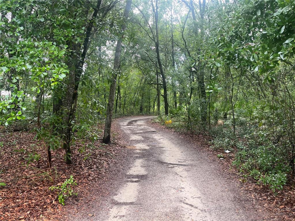 Tbd Delaware Avenue Interlachen, FL 32148 - Photo 2 of 14