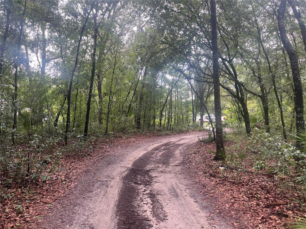 Tbd Delaware Avenue Interlachen, FL 32148 - Photo 3 of 14