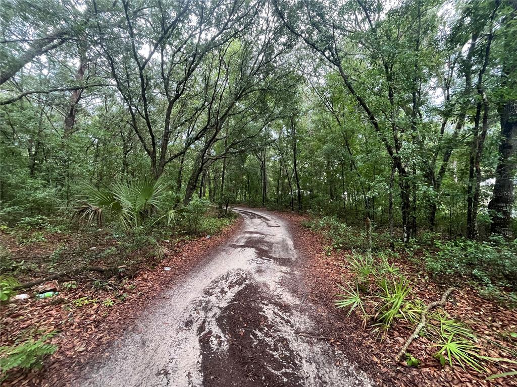 Tbd Delaware Avenue Interlachen, FL 32148 - Photo 6 of 14