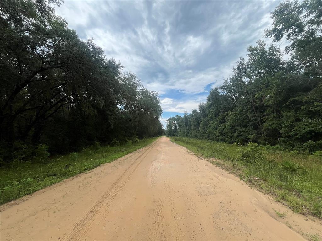 Tbd Delaware Avenue Interlachen, FL 32148 - Photo 9 of 14