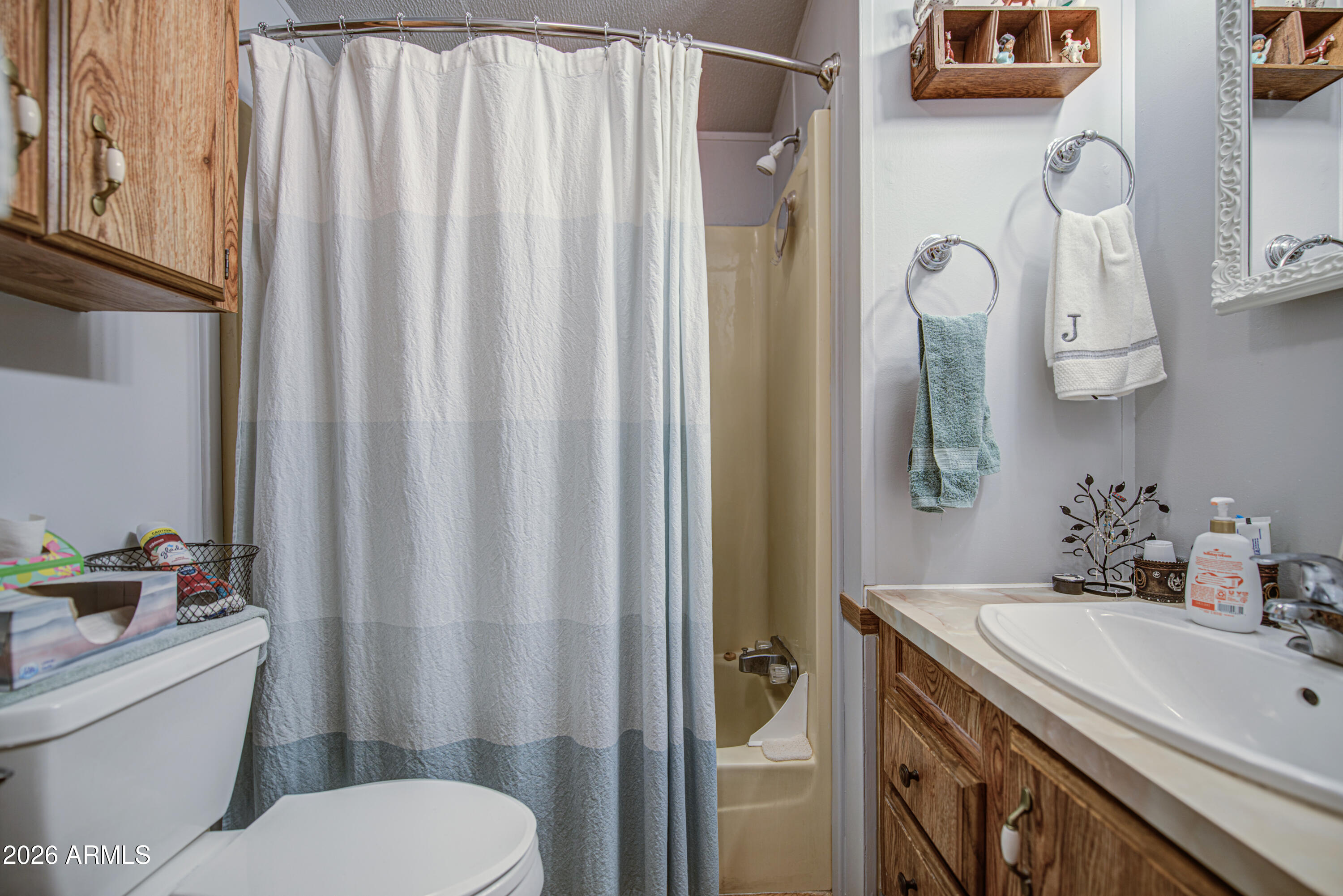 7750 East Broadway Road, Unit 463 Mesa, AZ 85208 - Photo 10 of 36 a bathroom with a sink a toilet and shower curtain
