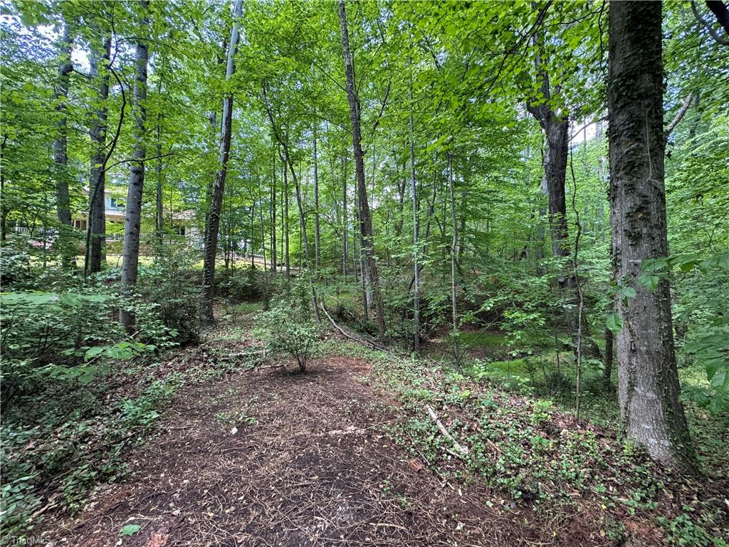 5504 Folkstone Road Pfafftown, NC 27040 - Photo 6 of 12 View from wooded area