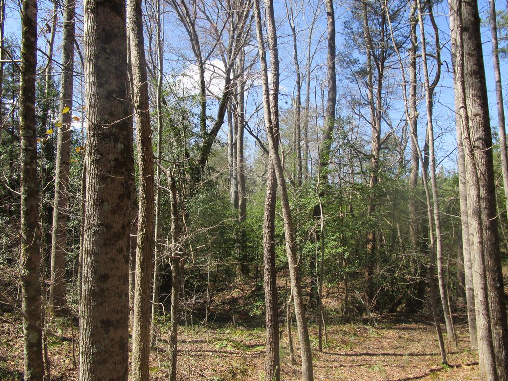 619 Shining Creek Road Alberta, VA 23821 - Photo 11 of 14 Gallery Image 11