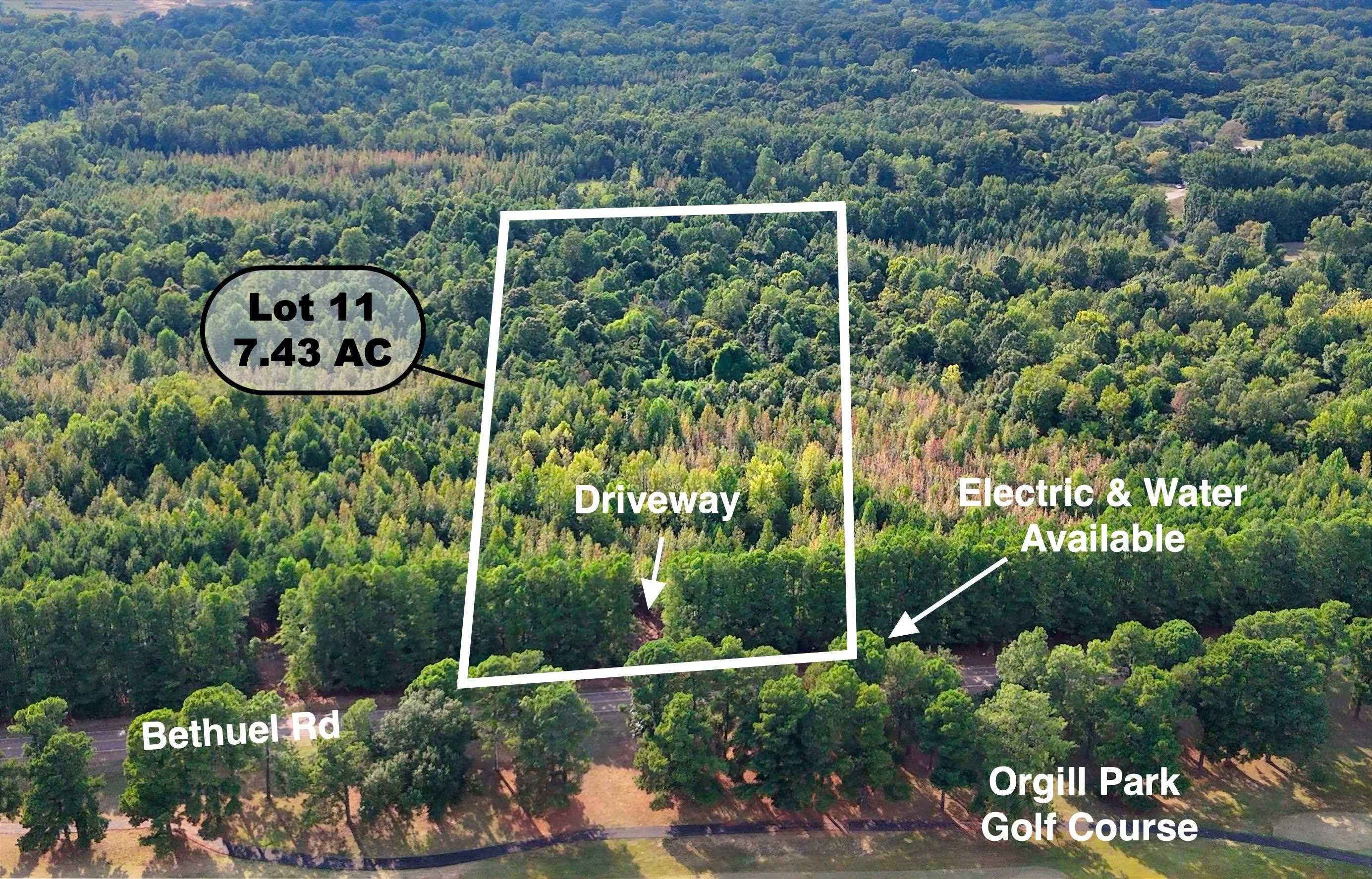 0 Bethuel Road, Unit 11 Millington, TN 38053 - Photo 1 of 13