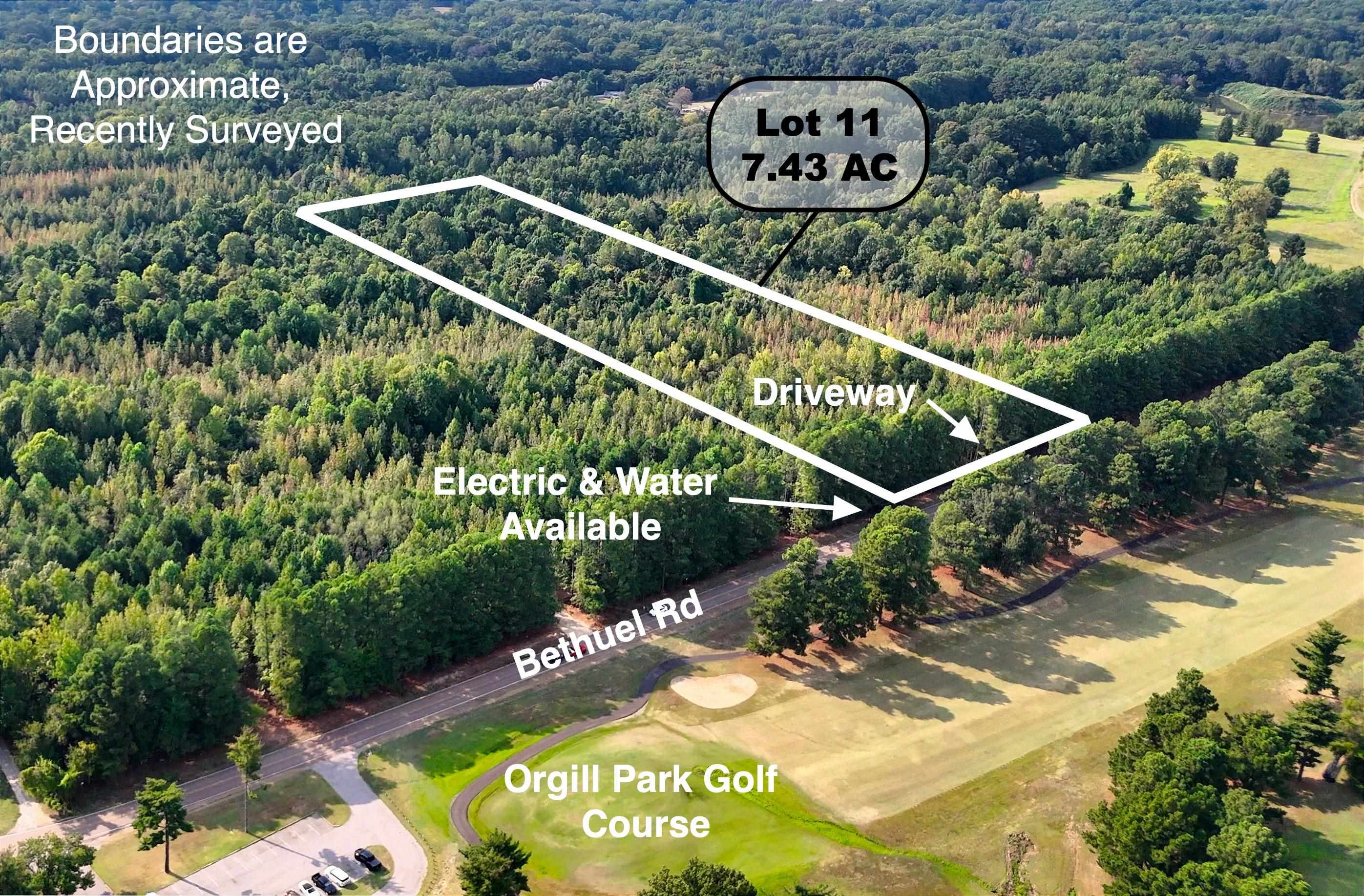 0 Bethuel Road, Unit 11 Millington, TN 38053 - Photo 2 of 13