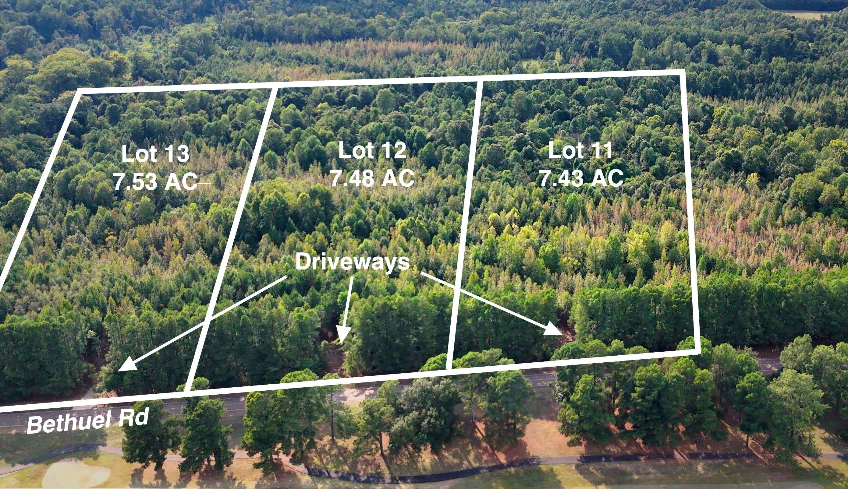 0 Bethuel Road, Unit 11 Millington, TN 38053 - Photo 4 of 13