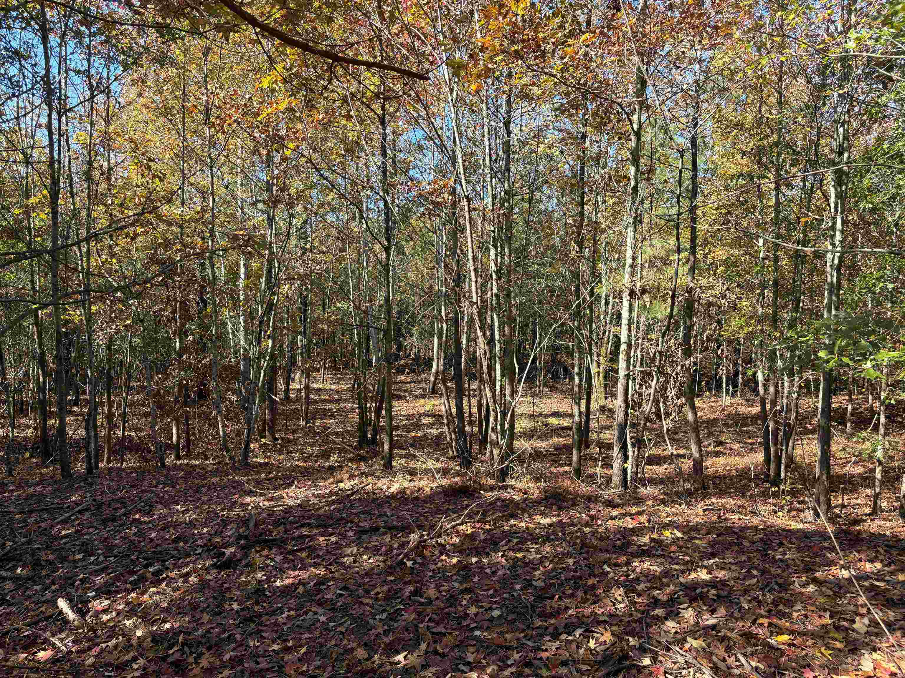 0 Bethuel Road, Unit 11 Millington, TN 38053 - Photo 7 of 13
