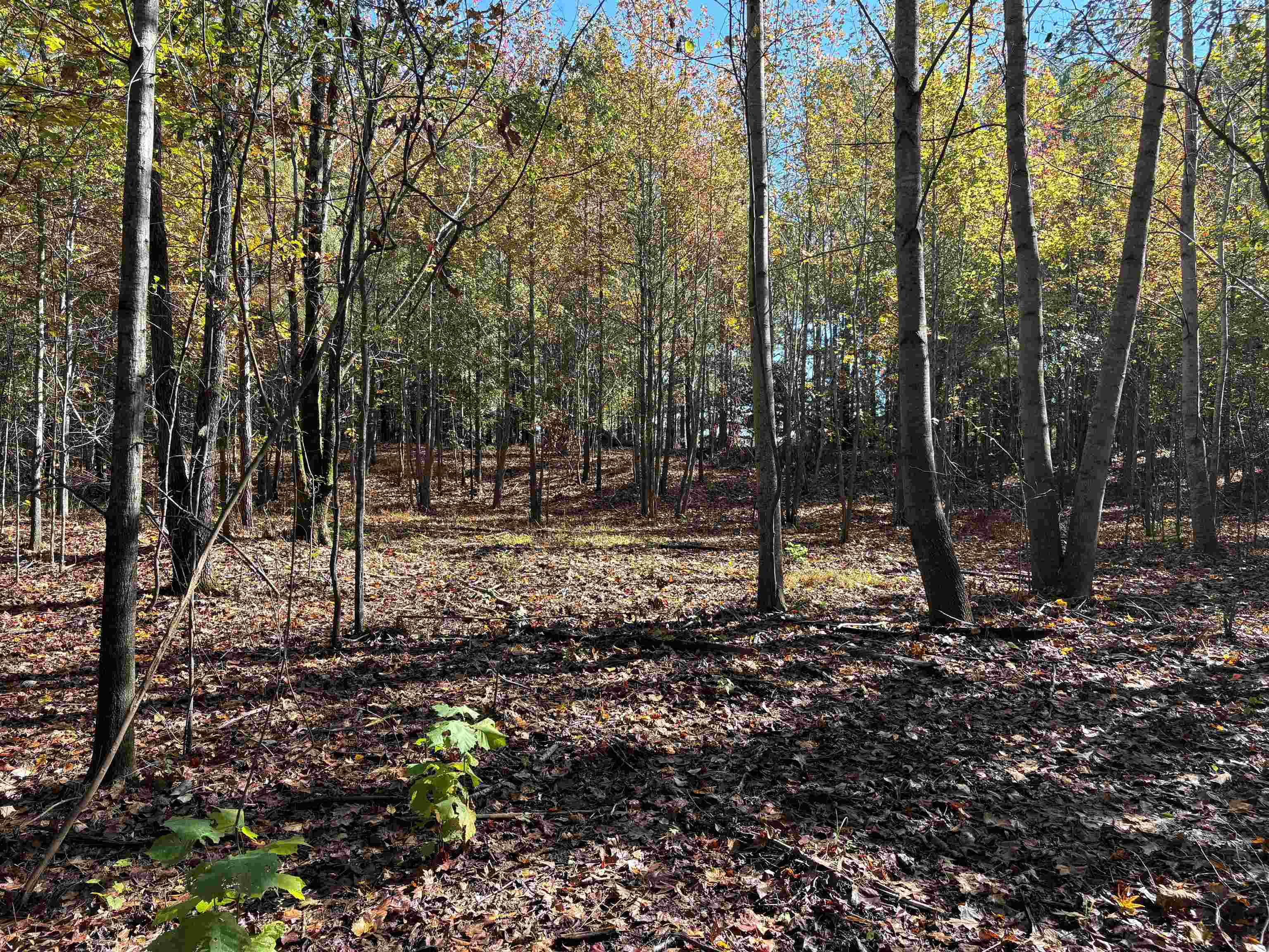 0 Bethuel Road, Unit 11 Millington, TN 38053 - Photo 9 of 13