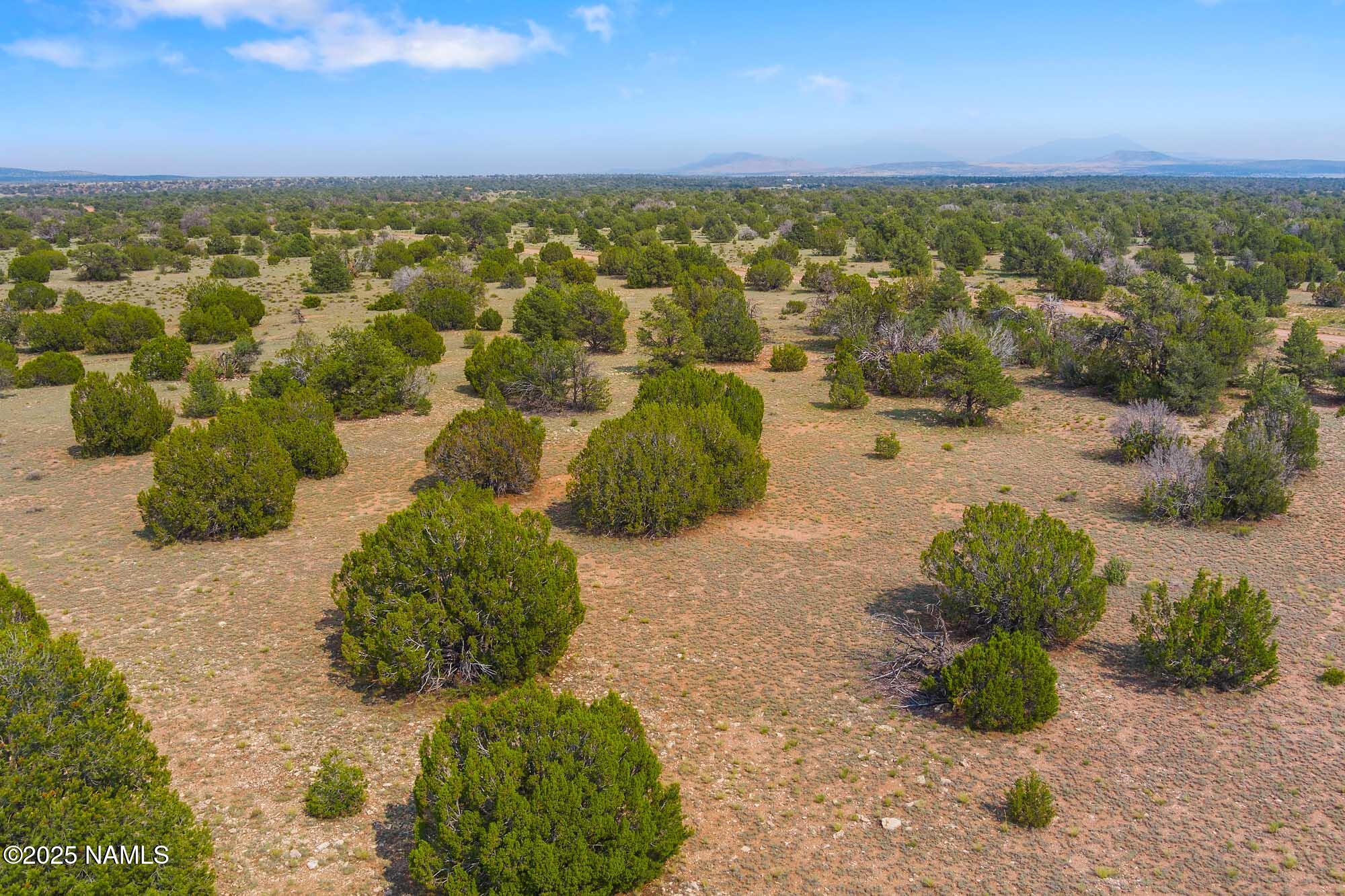 10448 South Rim Ranch Road Williams, AZ 86046 - Photo 28 of 60 MAX_0145