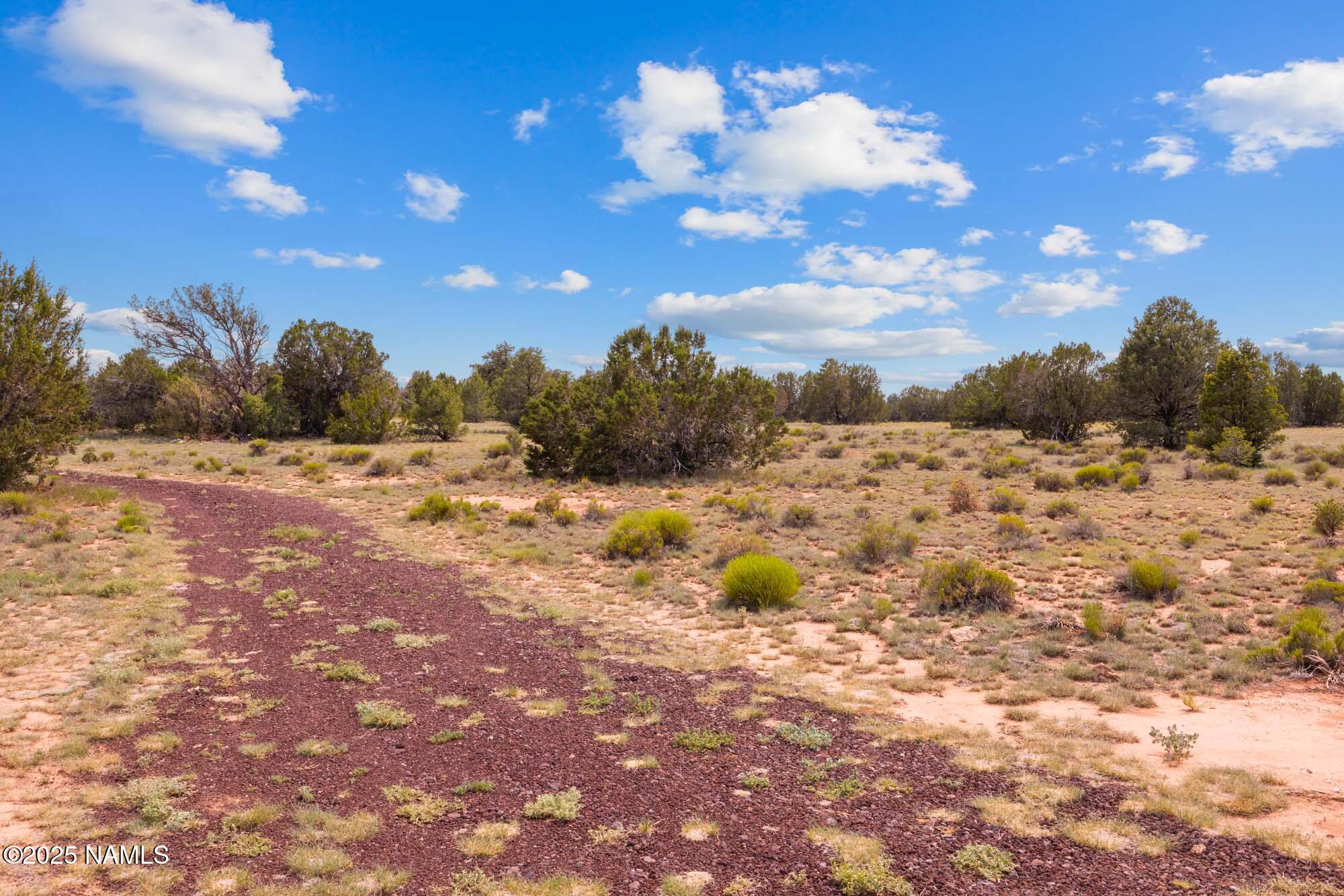 10448 South Rim Ranch Road Williams, AZ 86046 - Photo 47 of 60 a view of a yard with a tree