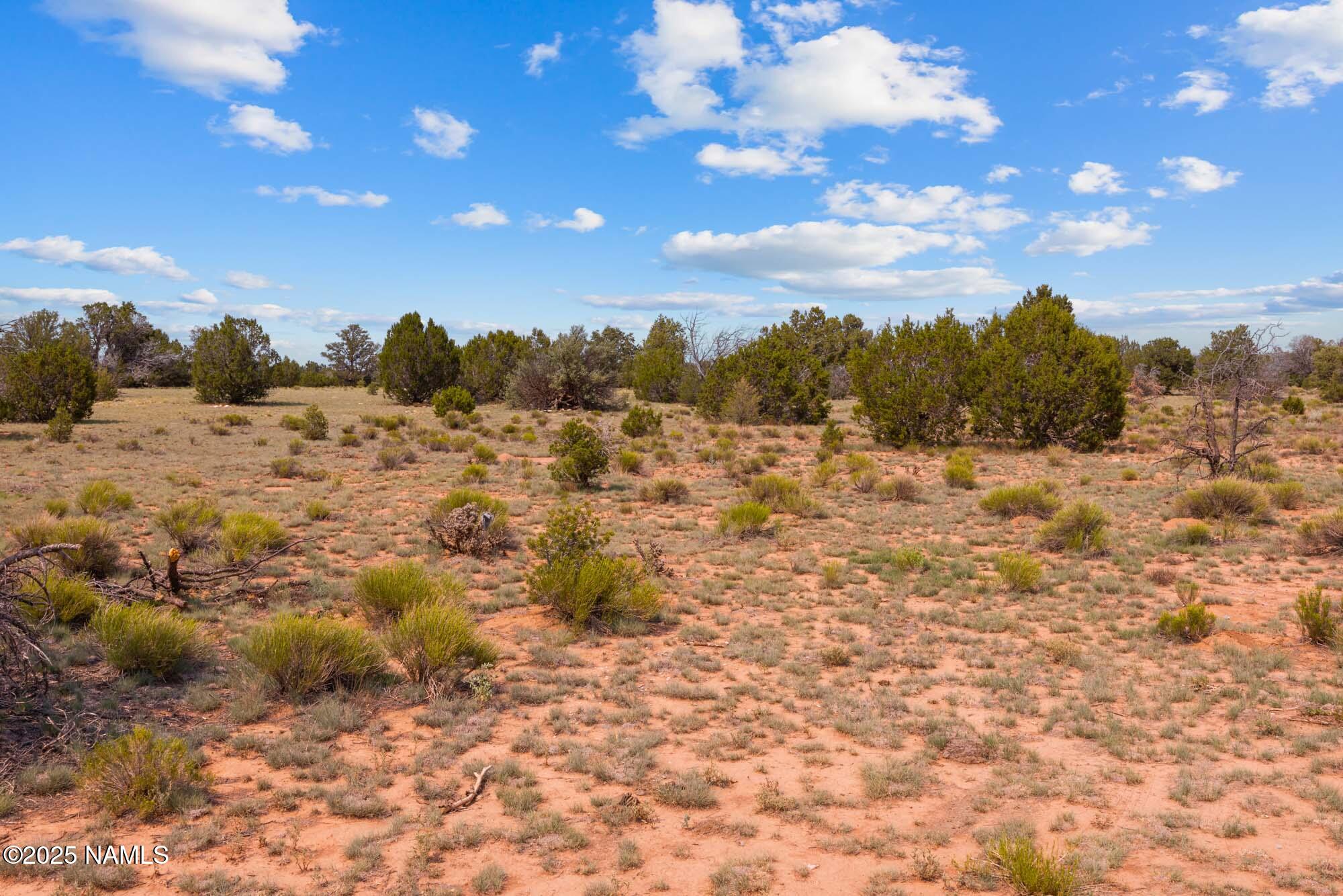 10448 South Rim Ranch Road Williams, AZ 86046 - Photo 48 of 60 IMG_2786