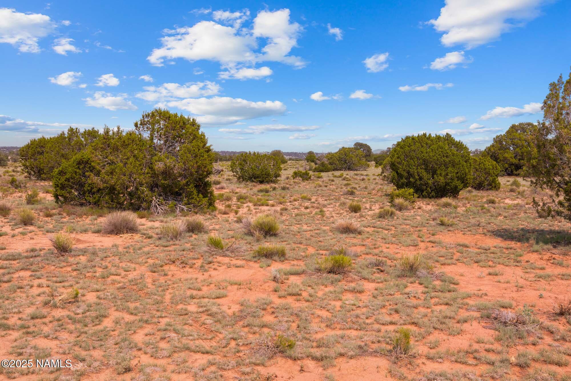10448 South Rim Ranch Road Williams, AZ 86046 - Photo 49 of 60 a view of a dry yard with lots of green space