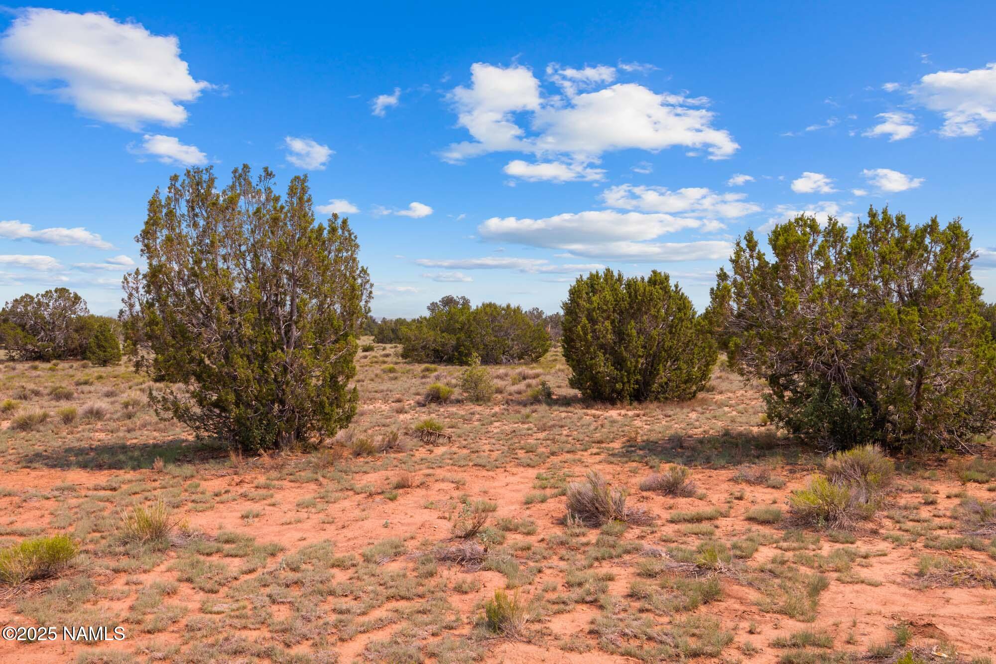 10448 South Rim Ranch Road Williams, AZ 86046 - Photo 50 of 60 a view of a dry yard with trees in the background