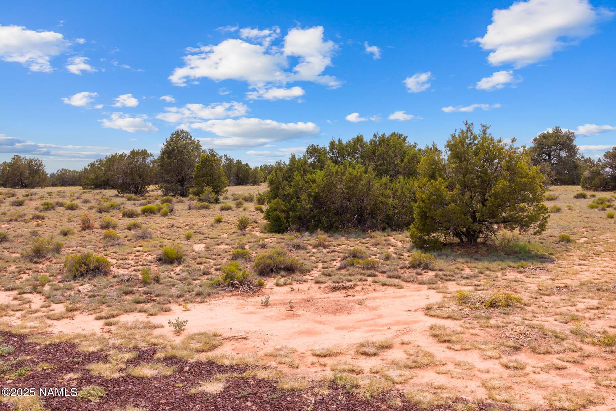10448 South Rim Ranch Road Williams, AZ 86046 - Photo 51 of 60 a view of a yard with a tree