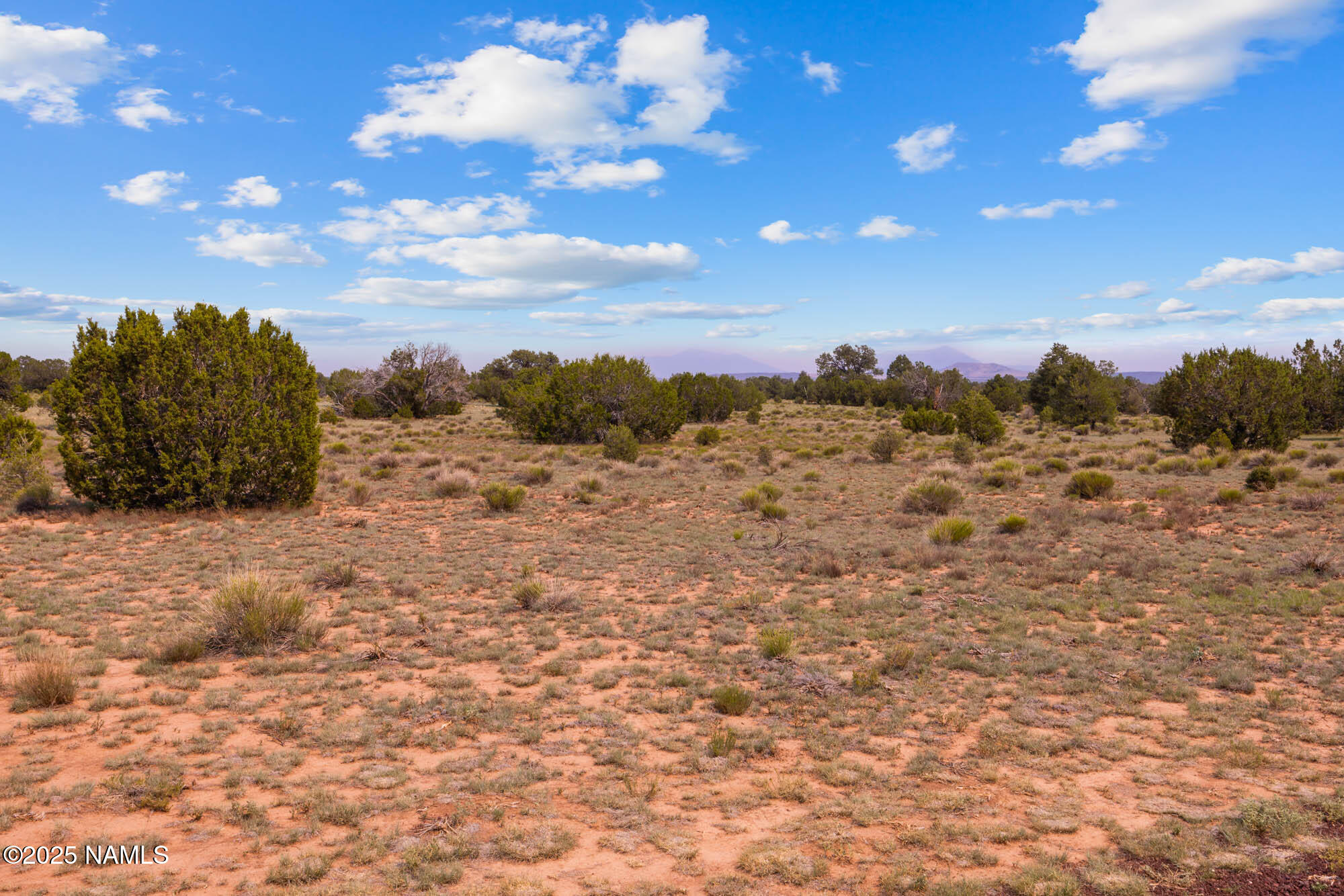 10448 South Rim Ranch Road Williams, AZ 86046 - Photo 52 of 60 a view of a covered with trees in the background