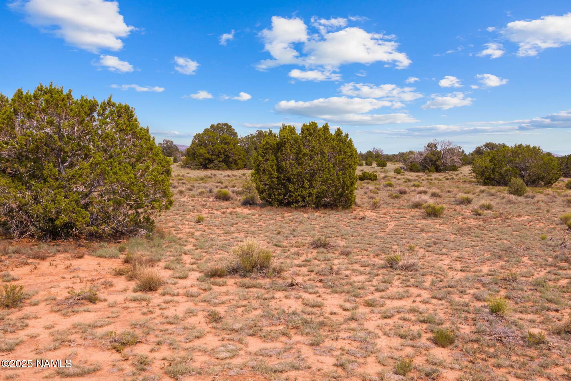 10448 South Rim Ranch Road Williams, AZ 86046 - Photo 53 of 60 a view of a yard with yellow lighting