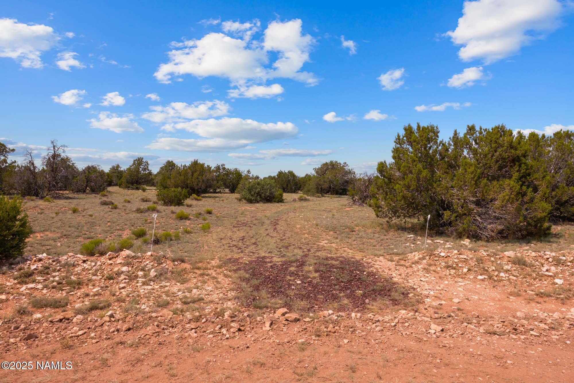 10448 South Rim Ranch Road Williams, AZ 86046 - Photo 54 of 60 a view of a dry yard with trees