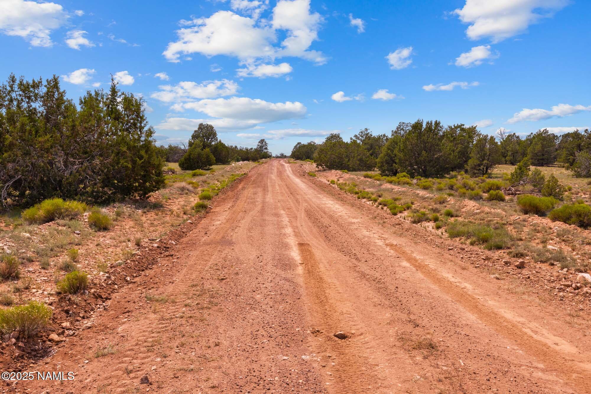 10448 South Rim Ranch Road Williams, AZ 86046 - Photo 56 of 60 a view of a yard with snow