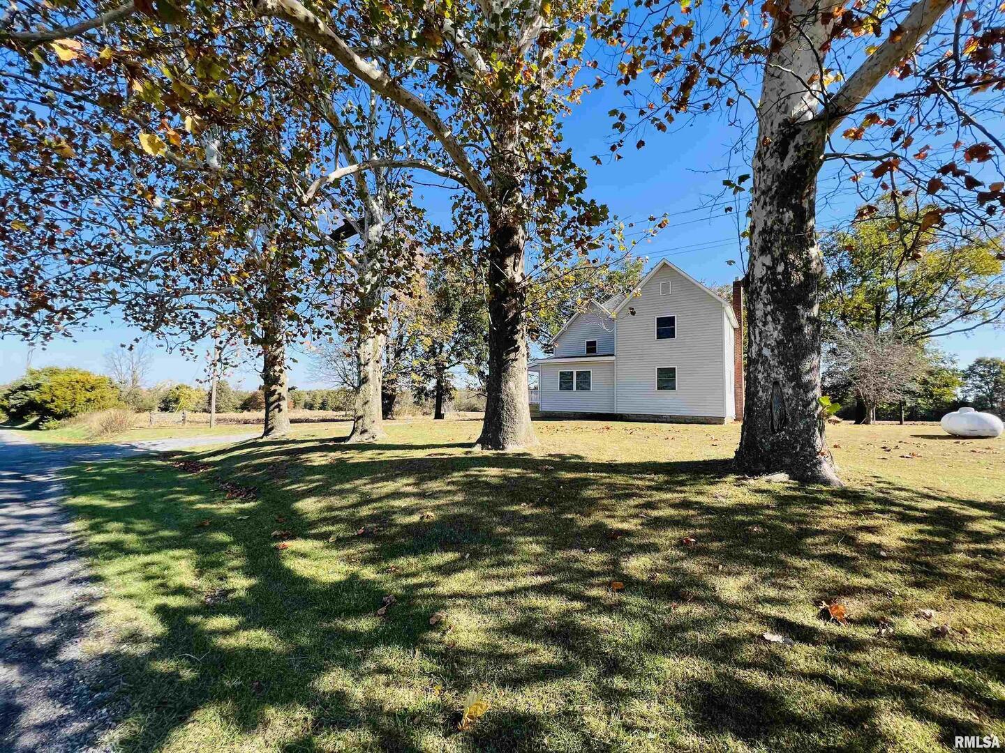 17064 Old Frankfort Road Johnston City, IL 62951 - Photo 15 of 59 a front view of a house with a yard