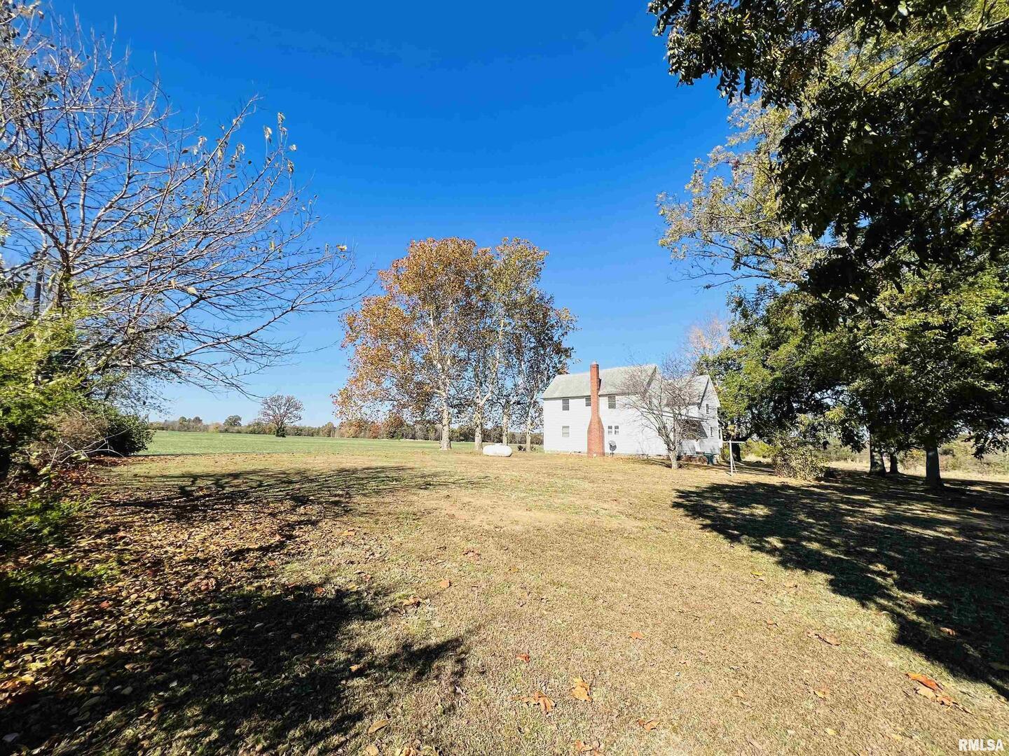 17064 Old Frankfort Road Johnston City, IL 62951 - Photo 19 of 59 a view of a yard with a house