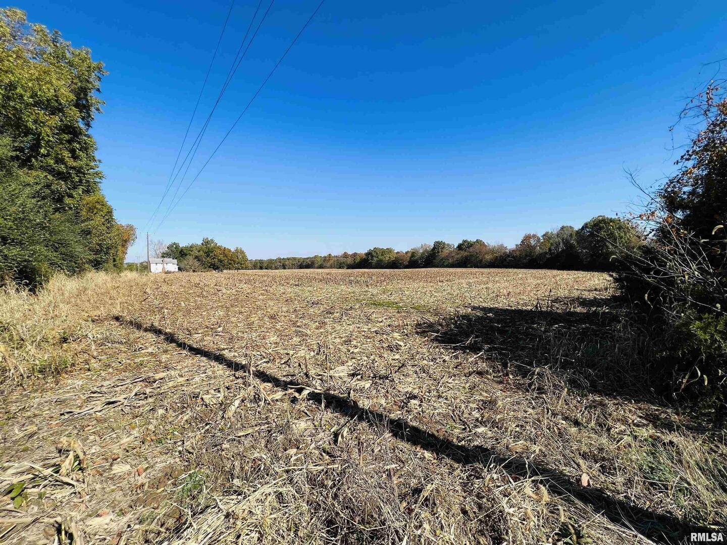 17064 Old Frankfort Road Johnston City, IL 62951 - Photo 44 of 59 a view of lake view with trees in the background