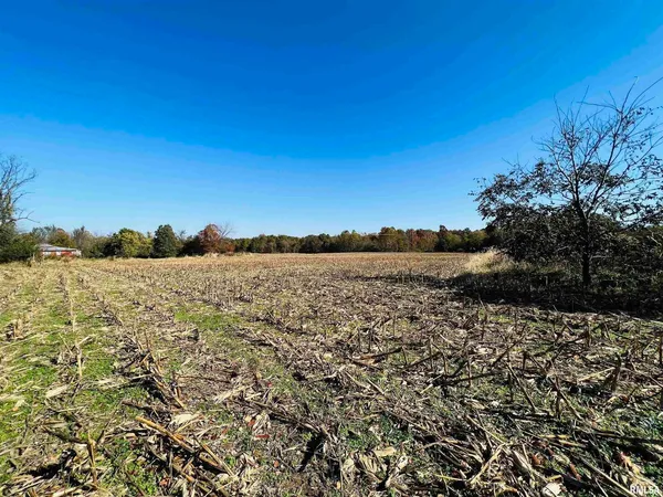 $425,000 | 17064 Old Frankfort Road, Johnston City, IL 62951
