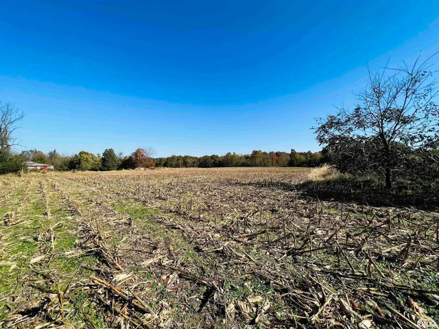 $425,000 | 17064 Old Frankfort Road, Johnston City, IL 62951