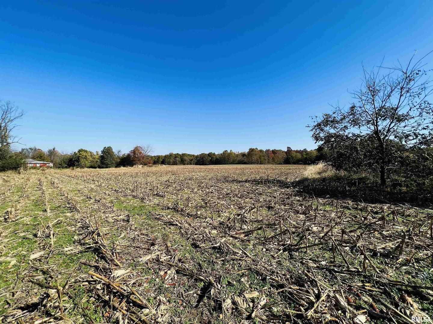 17064 Old Frankfort Road Johnston City, IL 62951 - Photo 46 of 59