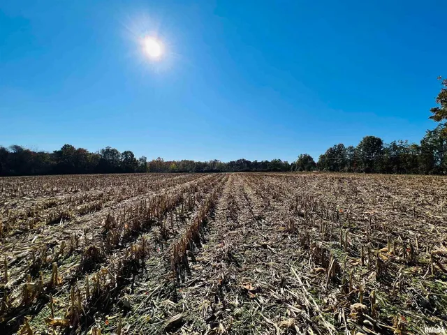 $449,000 | 17064 Old Frankfort Road, Johnston City, IL 62951