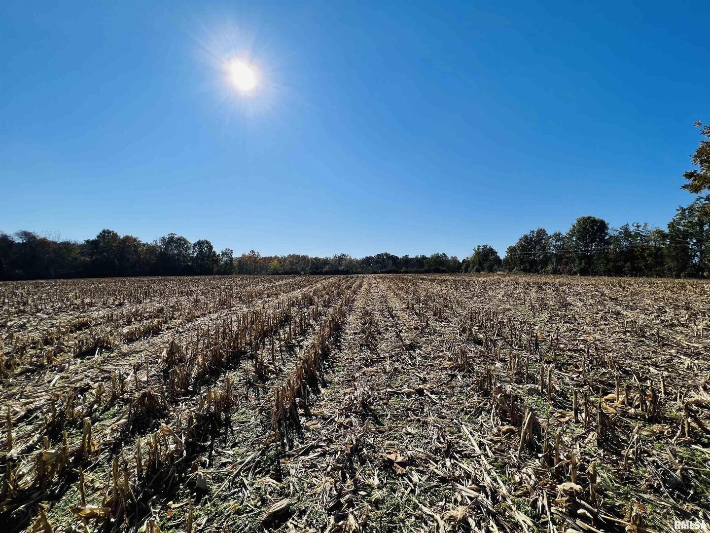 17064 Old Frankfort Road Johnston City, IL 62951 - Photo 48 of 59