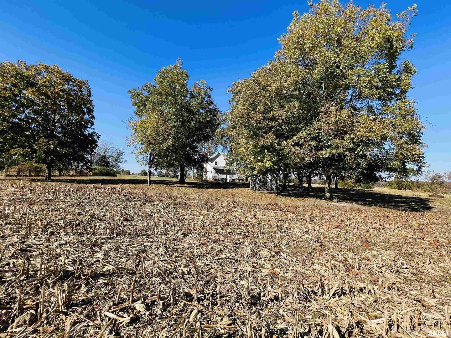 17064 Old Frankfort Road Johnston City, IL 62951 - Photo 50 of 59 a view of outdoor space