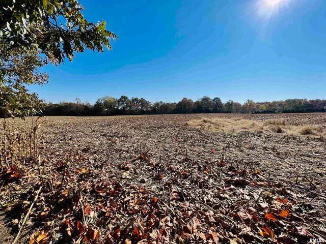 $425,000 | 17064 Old Frankfort Road, Johnston City, IL 62951