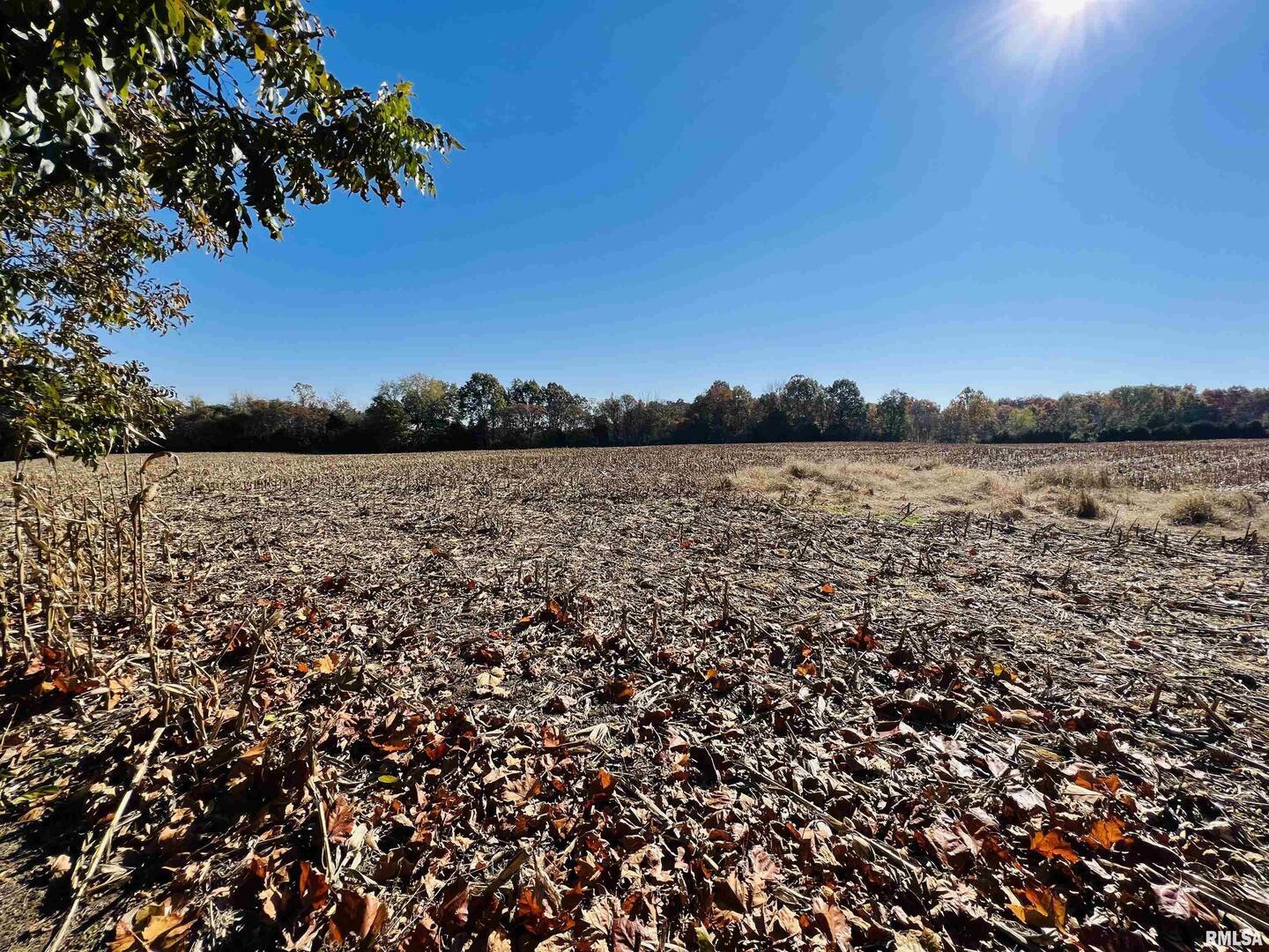 17064 Old Frankfort Road Johnston City, IL 62951 - Photo 53 of 59 a view of lake