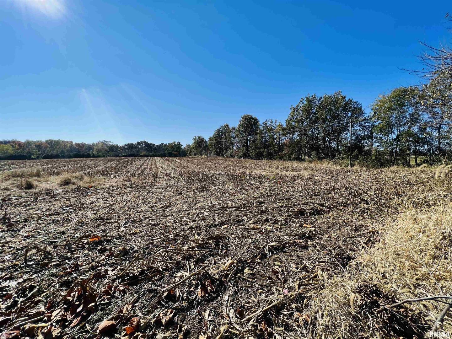 17064 Old Frankfort Road Johnston City, IL 62951 - Photo 54 of 59 a view of lake