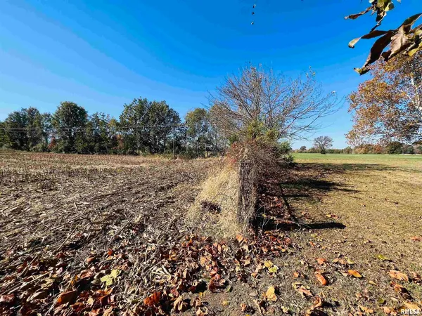 $425,000 | 17064 Old Frankfort Road, Johnston City, IL 62951