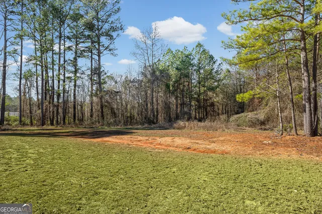 a backyard of a house with lots of green space