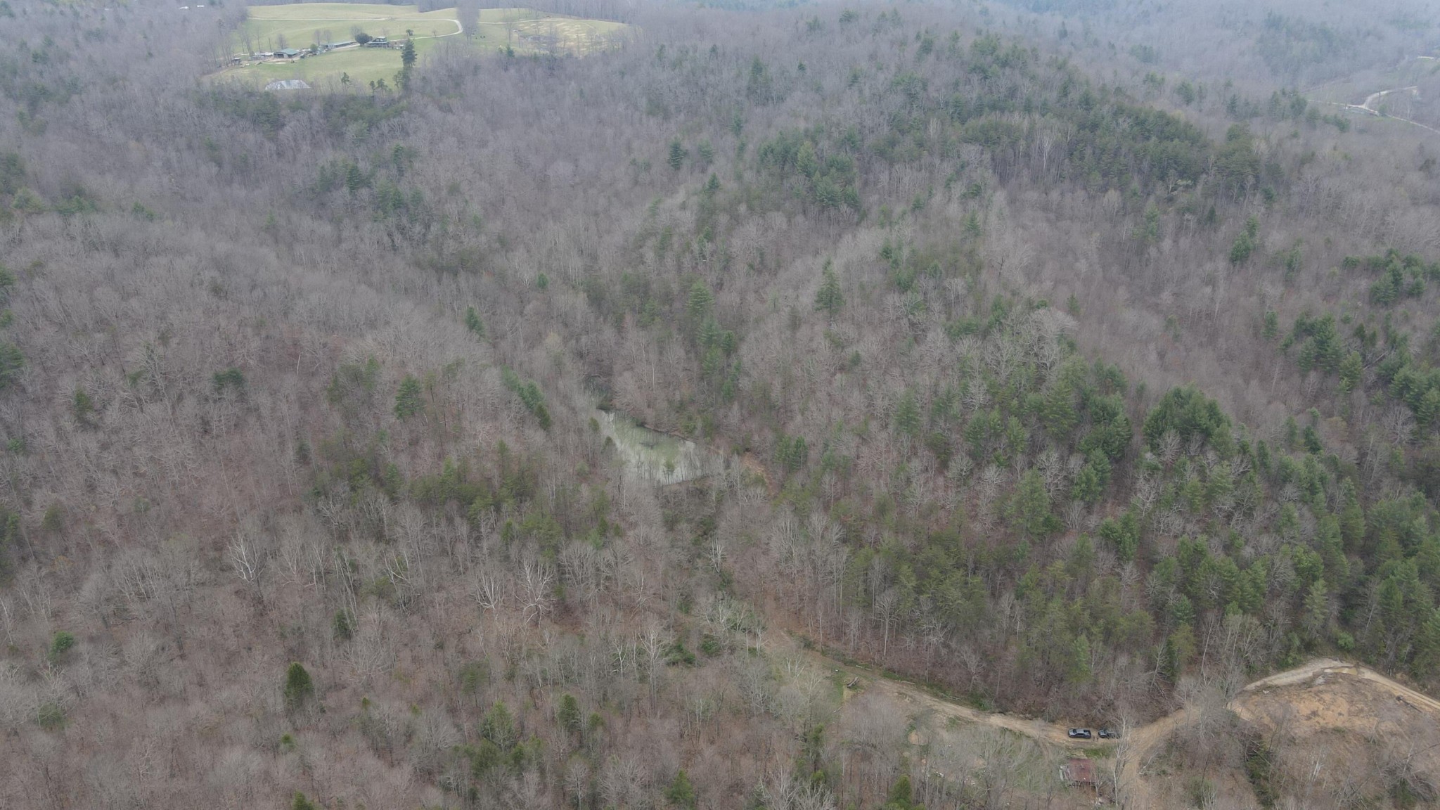 899 Morning Glory Road Oneida, TN 37841 - Photo 11 of 27