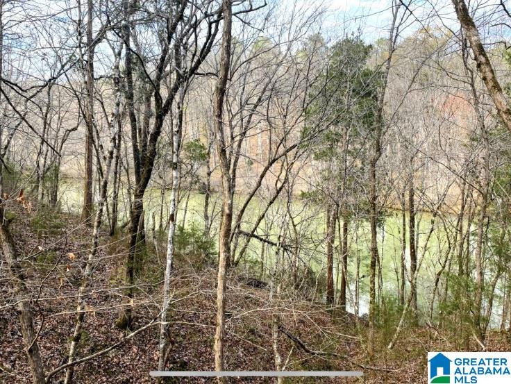 North Hagler Road, Unit 1 Northport, AL 35475 - Photo 5 of 12