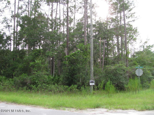 0 Juniper Road Georgetown, FL 32139 - Photo 2 of 4 a view of a green field