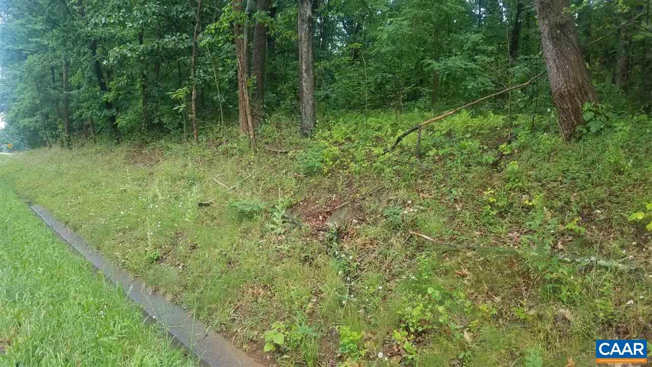North Seminole Trail Madison, VA 22727 - Photo 2 of 2 a view of outdoor space and green space