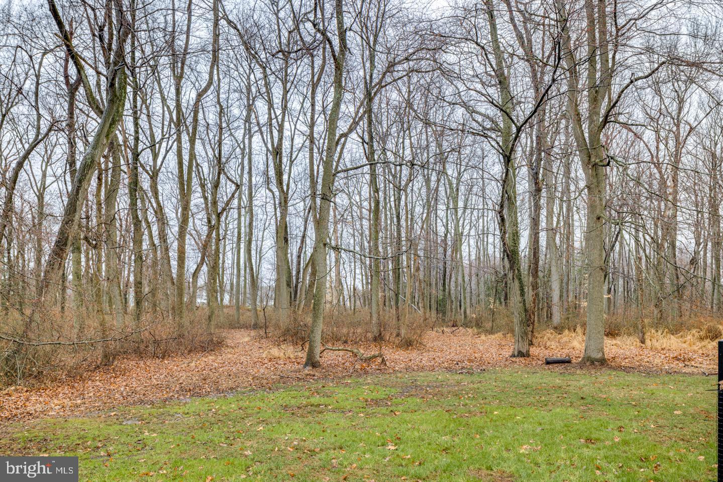 6101 Church Road Mount Laurel, NJ 08054 - Photo 43 of 45 Almost 5 Acres