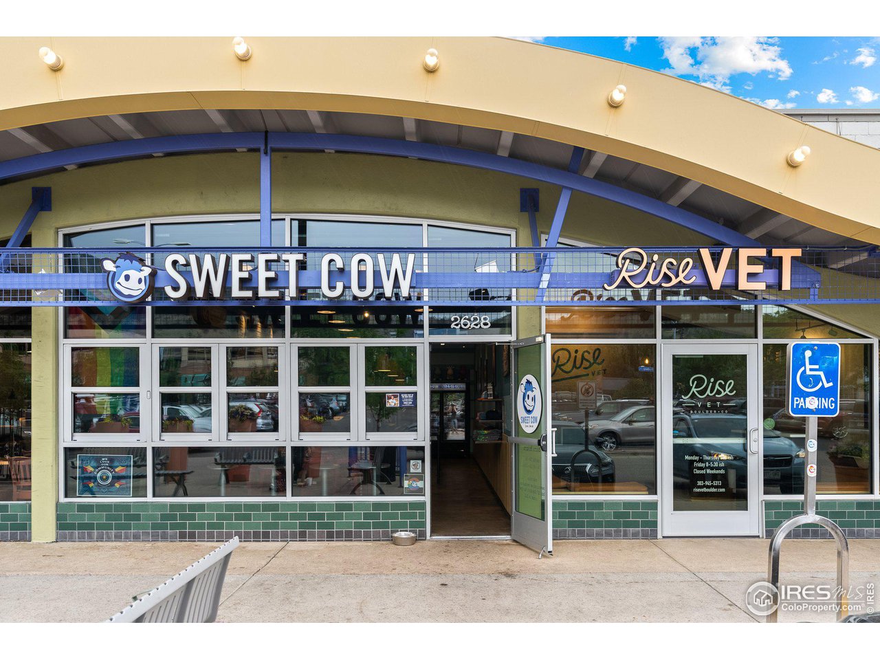 3161 7th Street Boulder, CO 80304 - Photo 34 of 39 Sweet Cow!