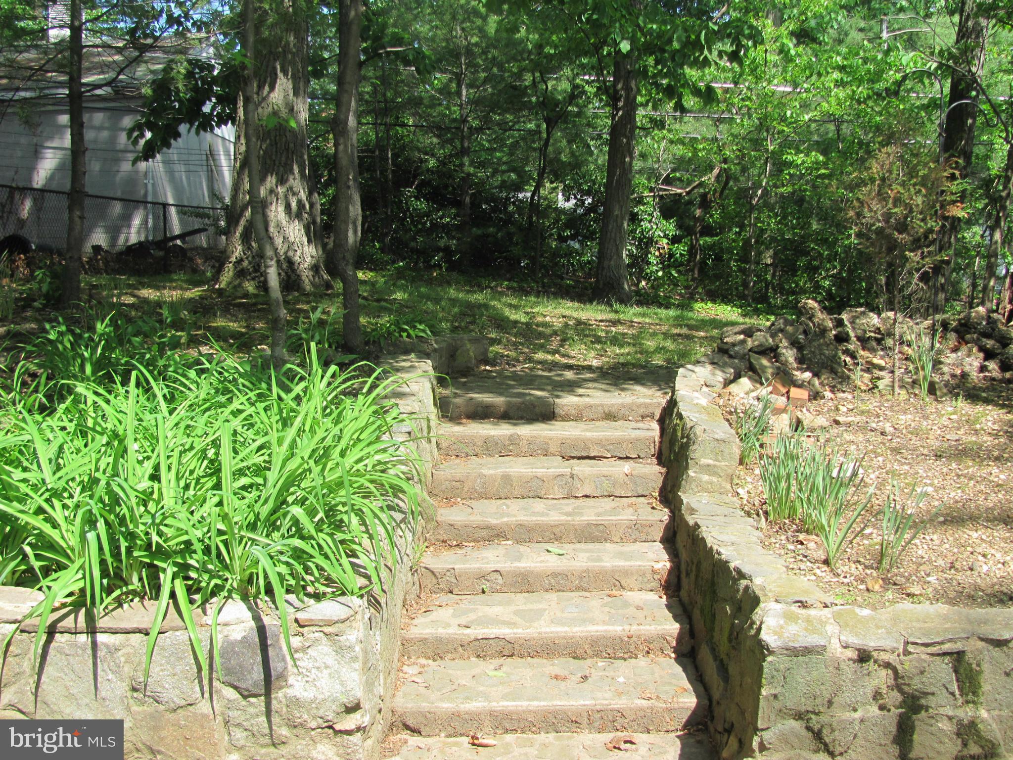 7919 Hillendale Road Baltimore, MD 21234 - Photo 25 of 29 a view of a yard with plants and a trees